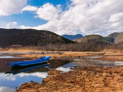 فوتو كاسي كازينو تطبيق الهاتف المحمول
